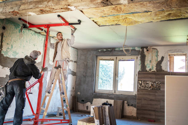Best Insulation Removal  in Country Clu, MO